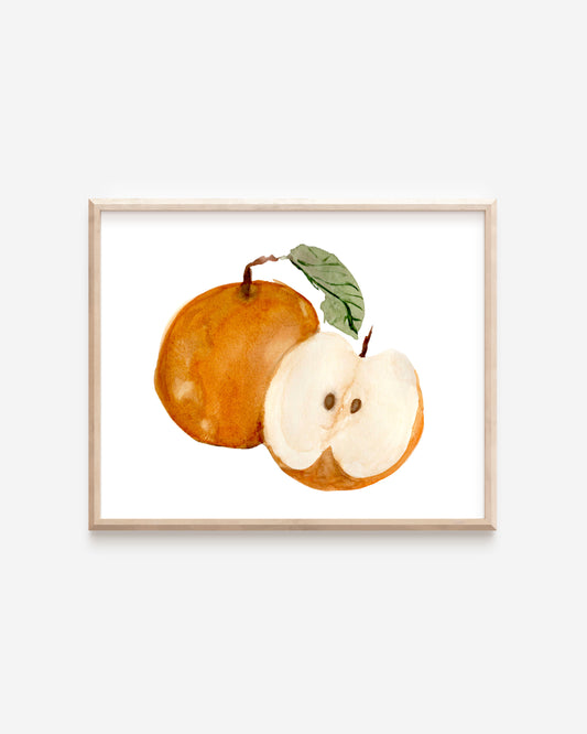 A watercolor print of an Asian pear.