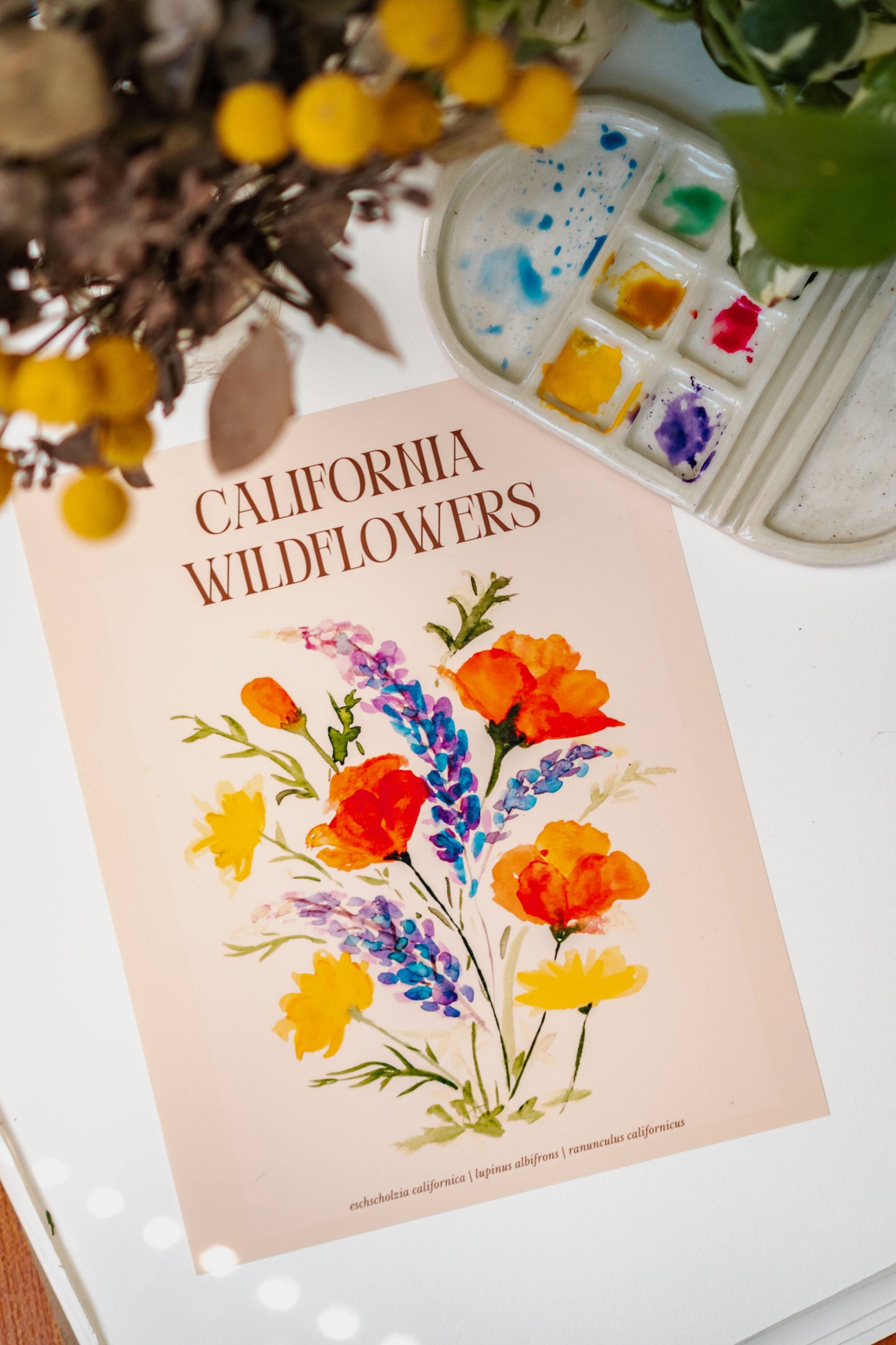An art print of California poppies, California buttercups, and silver lupine. Text above the flowers reads, "California Wildflowers" and smaller letters below the flowers lists their scientific names: Eschscholzia Californica, Lupinus Albifrons, and Ranunculus Californicus.
