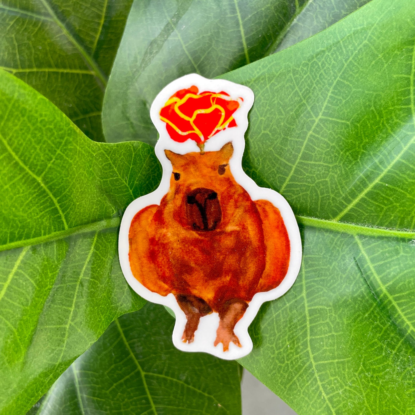A white sticker of a capybara staring at the viewer with a California Poppy on its head.