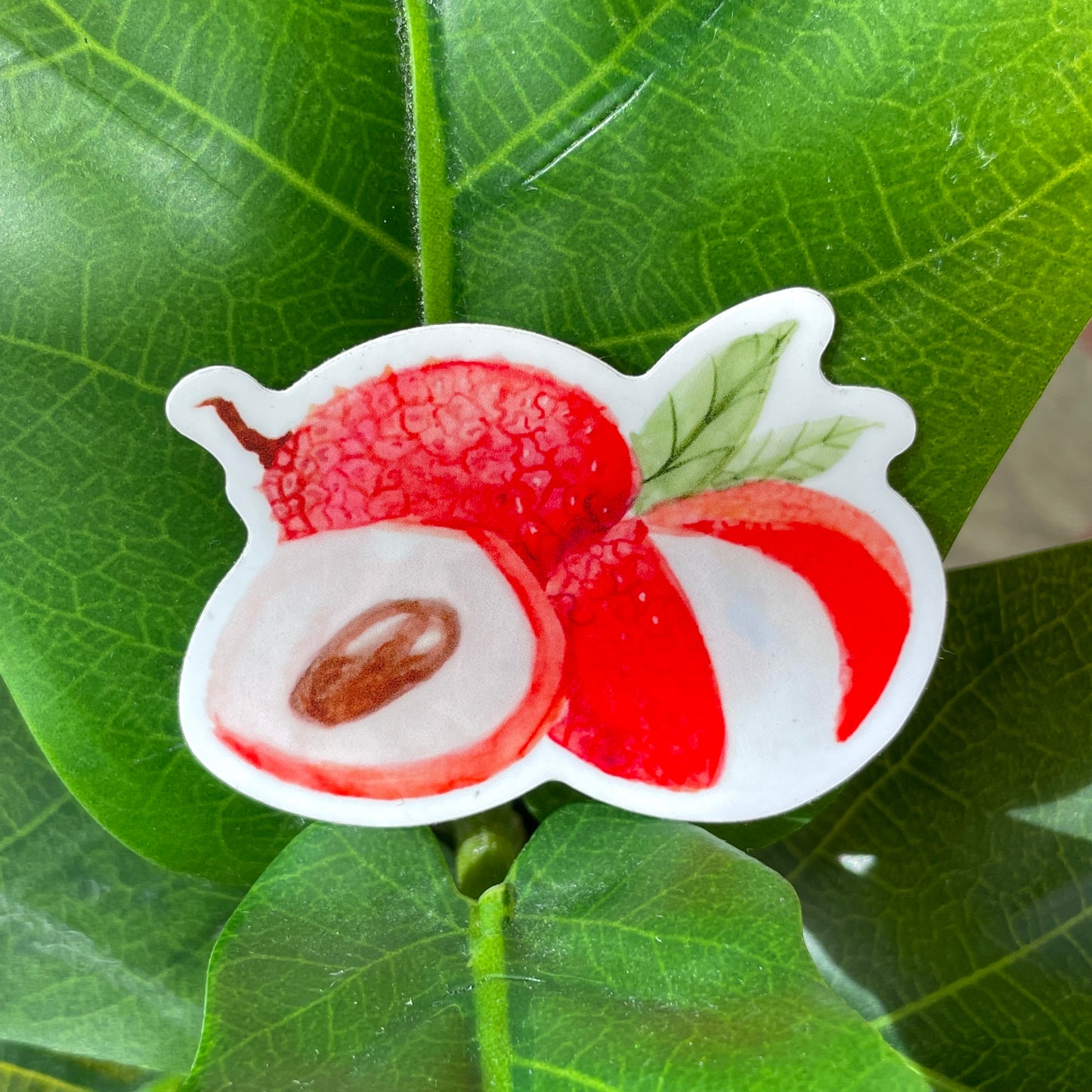 A red and white lychee sticker. Two lychees are peeled open to reveal their soft centers, and a pair of green leaves are attached in the back.