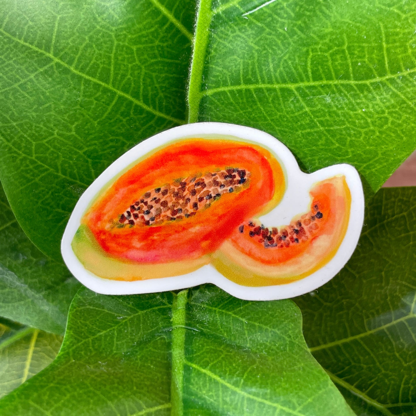 A sticker featuring half a watercolor papaya. The inside of the papaya is a juicy bright orange, with seeds scattered in the middle.