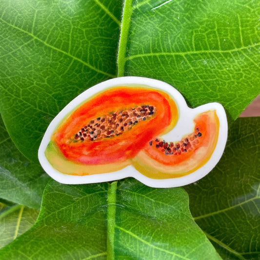 A sticker featuring half a watercolor papaya. The inside of the papaya is a juicy bright orange, with seeds scattered in the middle.