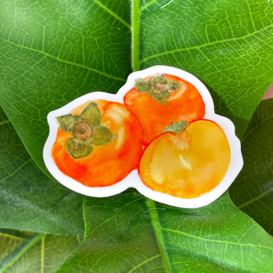 A sticker of three rich, orange watercolor persimmons. One persimmon is cut open to display the soft yellow-orange inside.