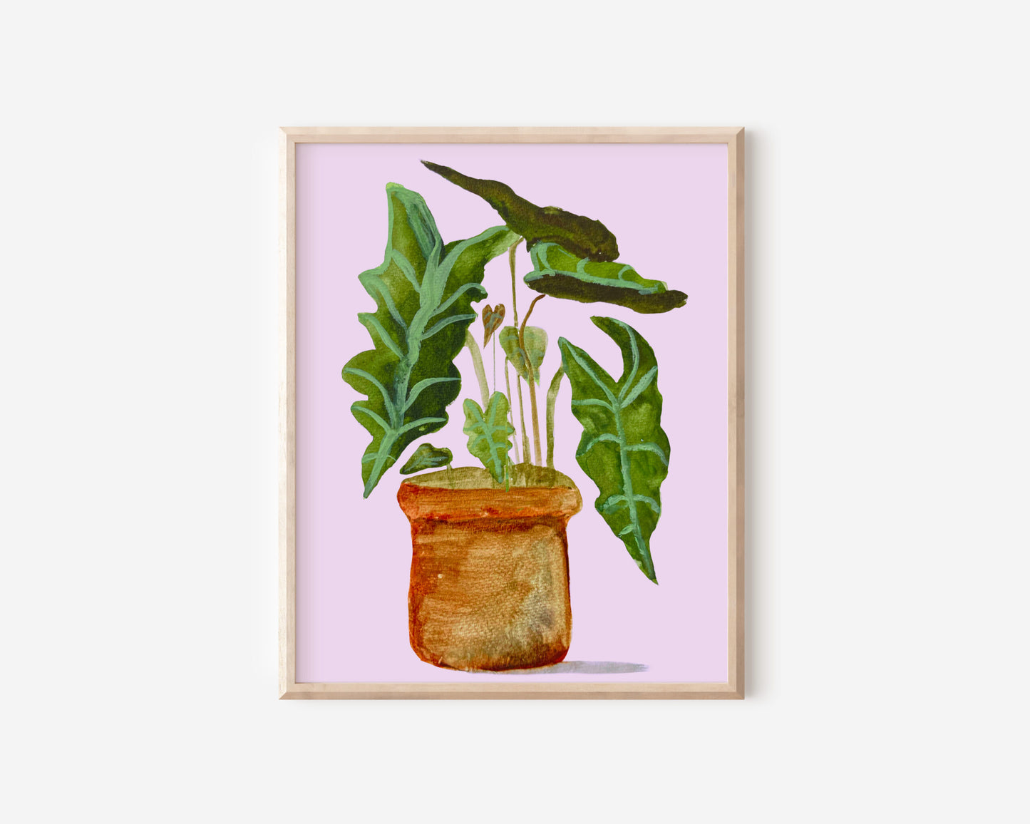 Alocasia Art Print