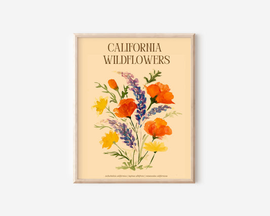 An art print of California poppies, California buttercups, and silver lupine. Text above the flowers reads, "California Wildflowers" and smaller letters below the flowers lists their scientific names: Eschscholzia Californica, Lupinus Albifrons, and Ranunculus Californicus.