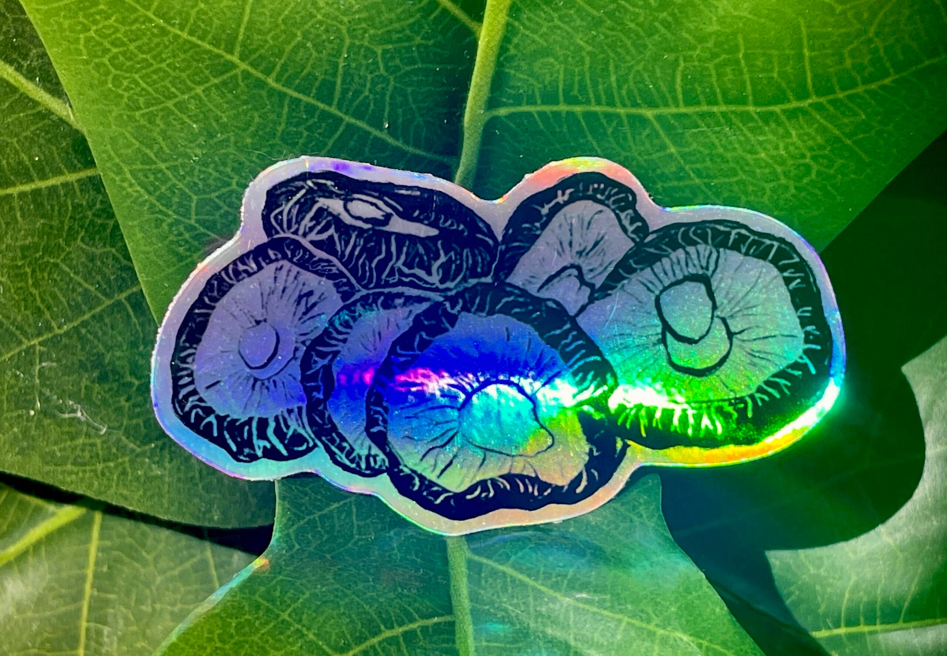 A holographic sticker featuring six shiitake mushrooms rendered in ink