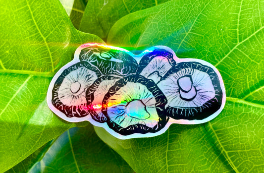 A holographic sticker featuring six shiitake mushrooms rendered in ink