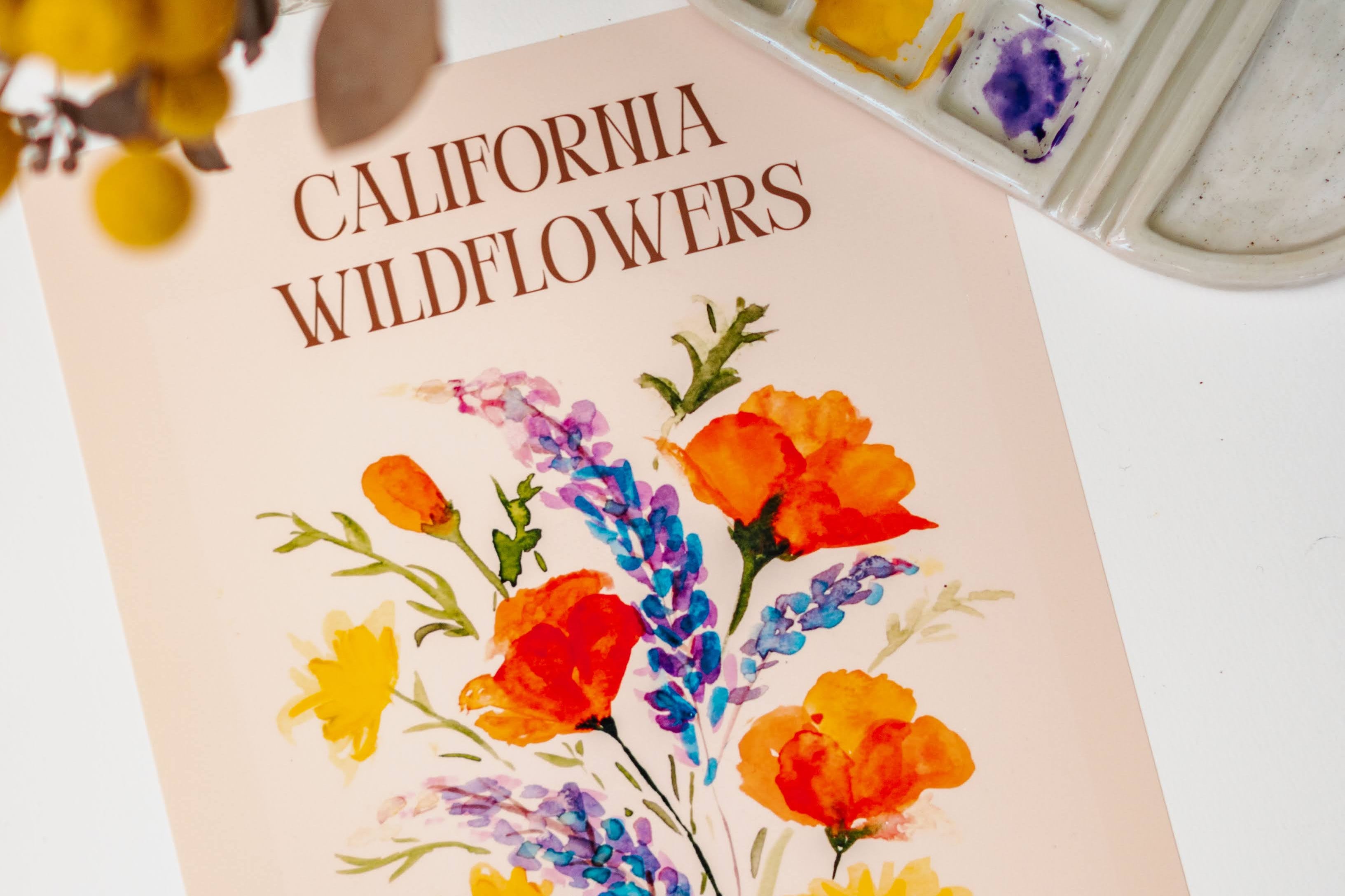 An art print of California poppies, California buttercups, and silver lupine. Text above the flowers reads, "California Wildflowers" and smaller letters below the flowers lists their scientific names: Eschscholzia Californica, Lupinus Albifrons, and Ranunculus Californicus.