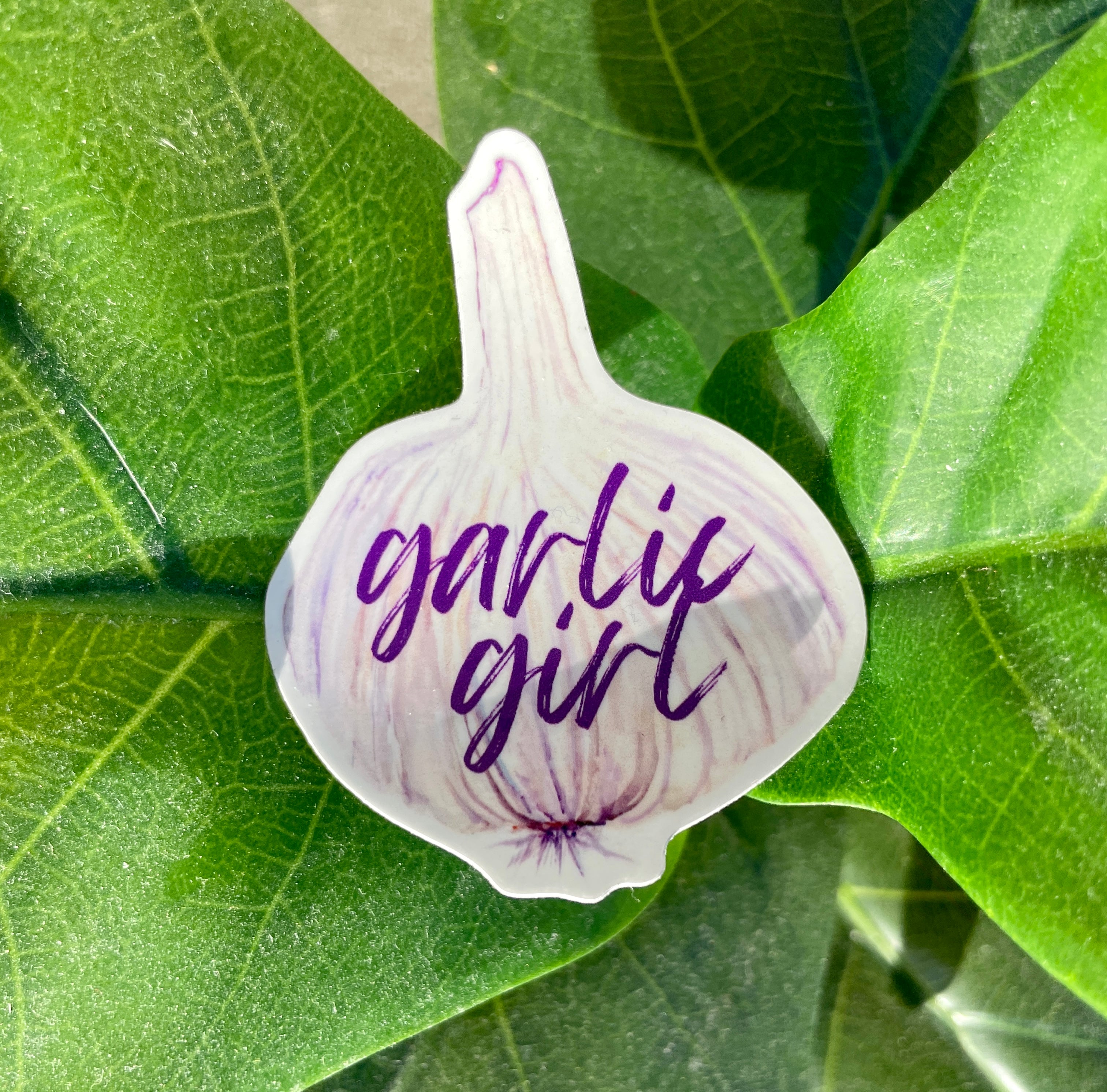 A sticker of a light purple and white garlic bulb with the phrase "garlic girl" written in purple cursive letters.
