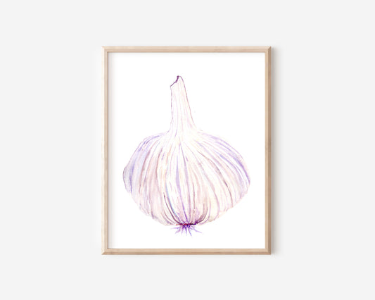Garlic Watercolor Art Print
