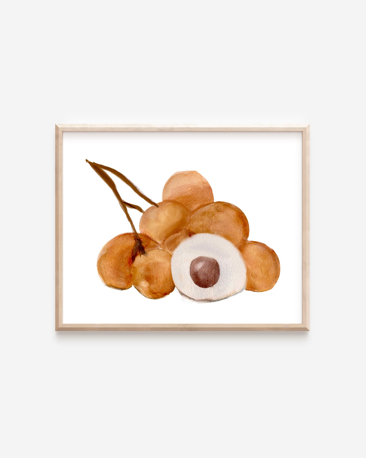 Longan Watercolor Art Print