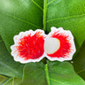 A sticker of two spiky, bright red rambutan fruits. One fruit is half peeled, revealing the soft and sweet inside of the fruit.