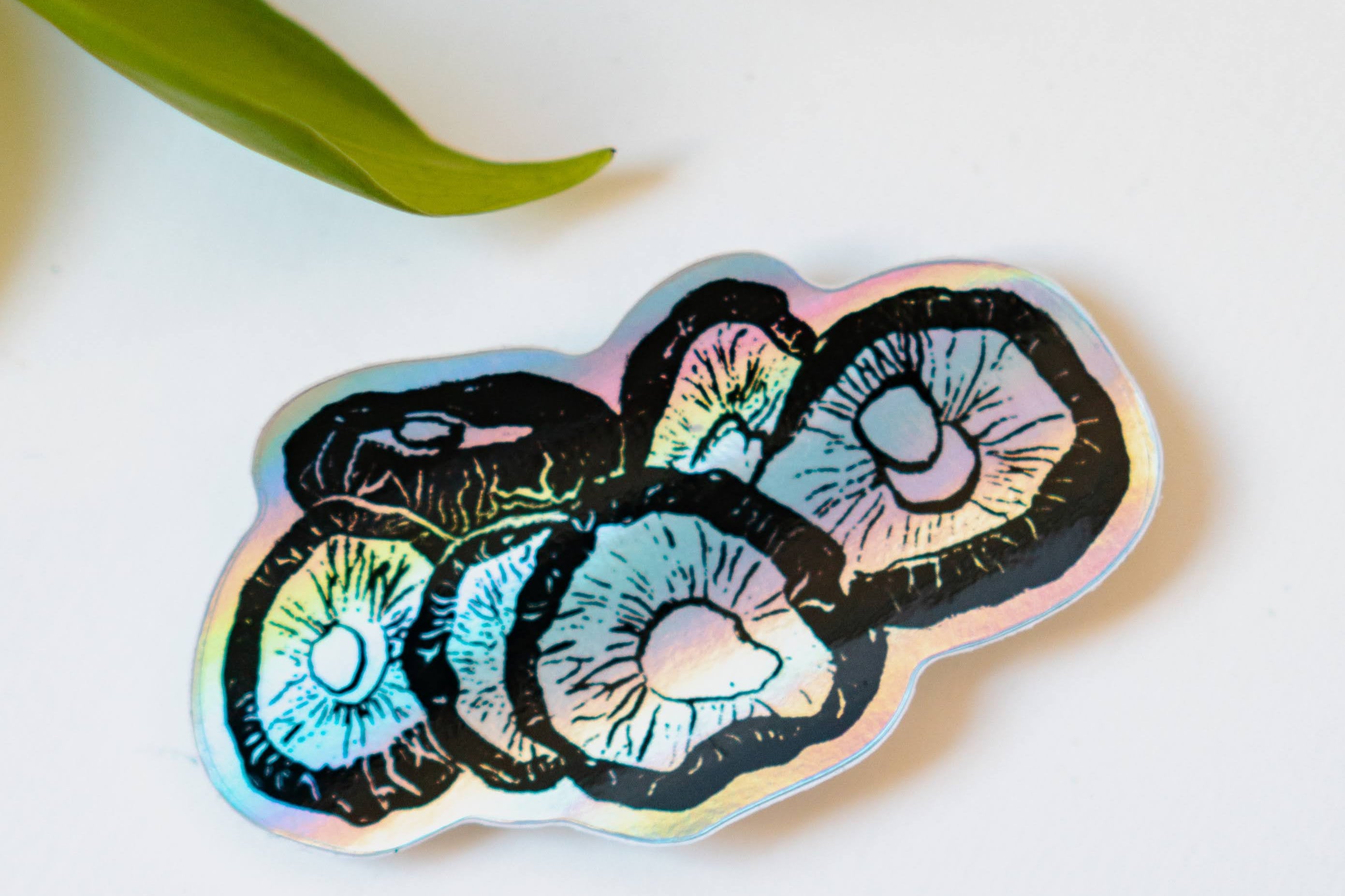 A holographic sticker featuring six shiitake mushrooms rendered in ink.