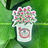 An Amaranths in Soy Sauce Sticker, depicting pink globe amaranths in a Kikkoman soy sauce bucket.
