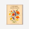 An art print of California poppies, California buttercups, and silver lupine. Text above the flowers reads, "California Wildflowers" and smaller letters below the flowers lists their scientific names: Eschscholzia Californica, Lupinus Albifrons, and Ranunculus Californicus.