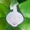 A light purple and white sticker of a garlic bulb.