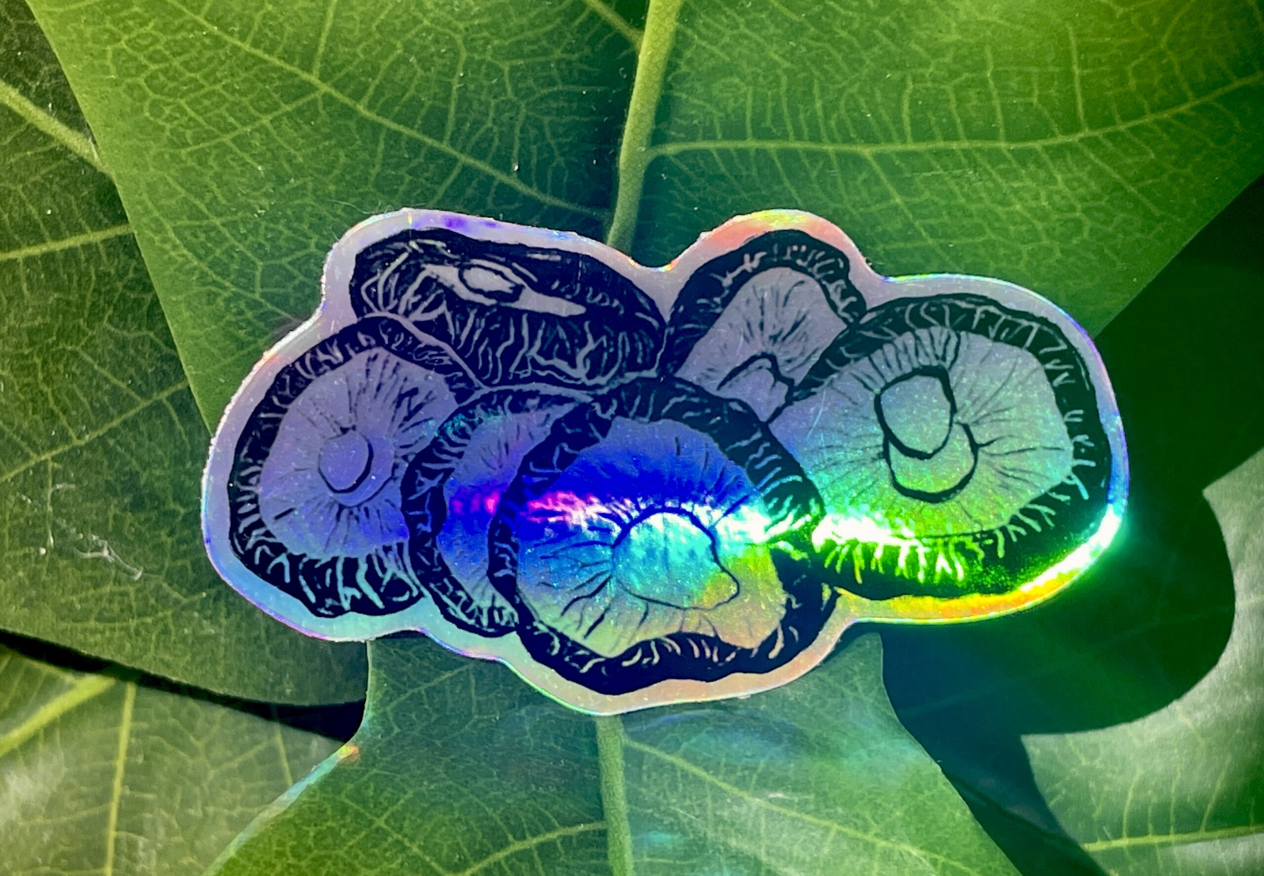 A holographic sticker featuring six shiitake mushrooms rendered in ink