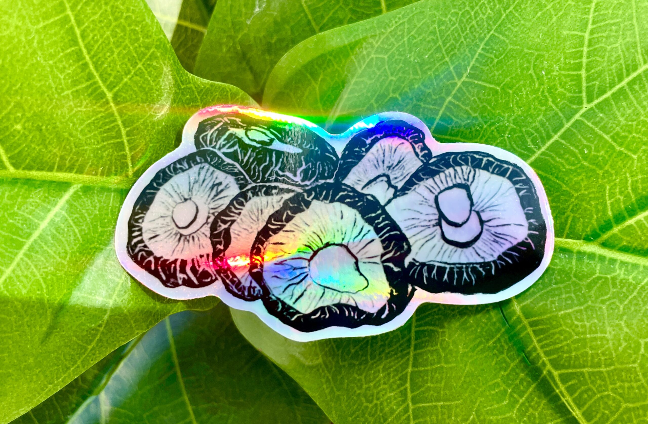 A holographic sticker featuring six shiitake mushrooms rendered in ink