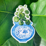 A sticker of a pilea plant in a blue and white porcelain vase, decorated with a pig.